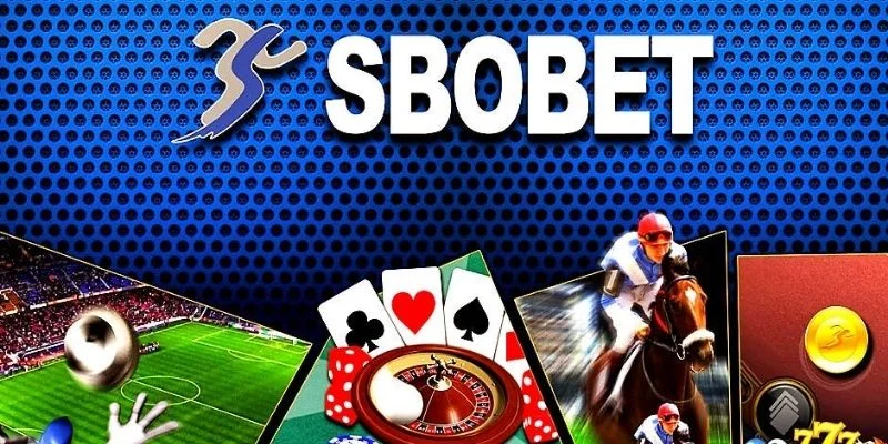 Tổng quan về nền tảng cá độ SBOBET QS88